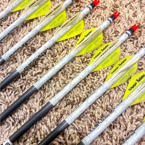 Beman ICS Speed 340 Carbon Arrows (8 Pack) – NAP Quikfletch Vanes